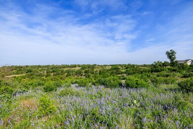 LOT 5 S Cielo Vista Ct unit 5, Fredericksburg, TX 78624 - photo 3