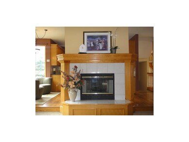 See Through Fireplace
