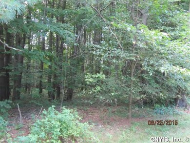 Land/Lot