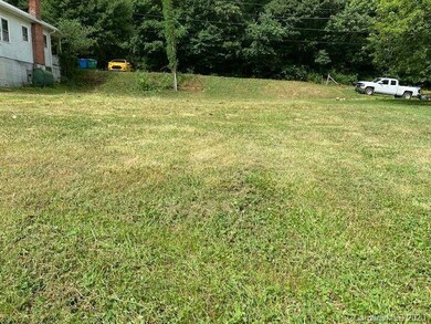 99999 Old County Home Rd, Asheville, NC 28806 - photo 2