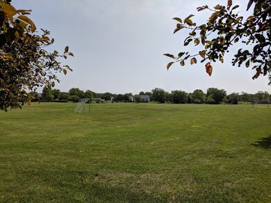 Neighborhood Amenities