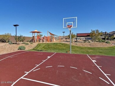 008_Basketball