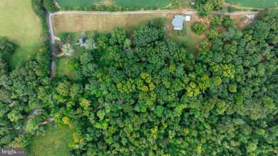 16300 Pleasant Mill Rd, Montpelier, VA 23192 - photo 4