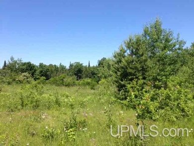 TBD A W Sharon Ave, Houghton, MI 49931 - photo 7