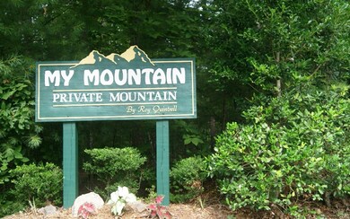 0 Turkey Trot Rd unit 290343, Morganton, GA 30560 - photo 2