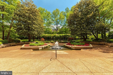 The Colonnade unit 204, Washington, DC 20007 - photo 3