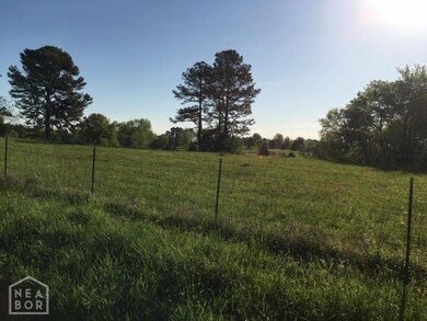 0 County Road 795, Jonesboro, AR 72401 - photo 4