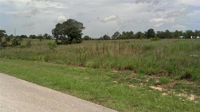 13005 Crowell Rd, Brooksville, FL 34613 - photo 3