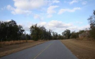 755 NW Country Lake Dr, Lake City, FL 32055 - photo 3