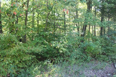 1 Hurricane Church Rd, Stewart, TN 37175 - photo 3