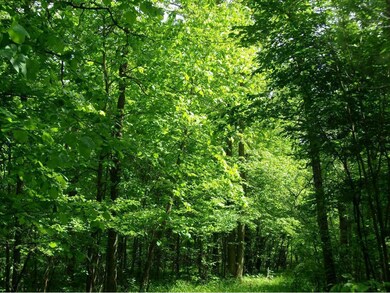 Nicely wooded