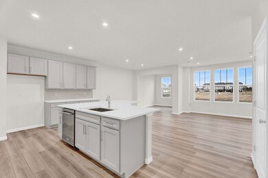 24420 W Alexis Ln unit 55407, Plainfield, IL 60585 - photo 7