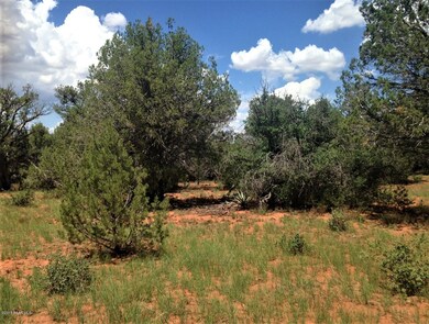 95 Juniperwood Ranch, Ash Fork, AZ 86320 - photo 4