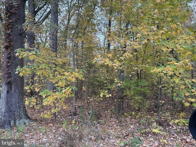 5162 Cedarlea Dr, West River, MD 20778 - photo 6