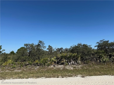 2272 SW Anderson Rd, Avon Park, FL 33825 - photo 2