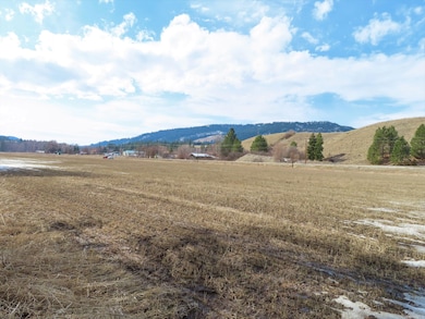 Tbd Highway 21 N, Danville, WA 99121 - photo 7