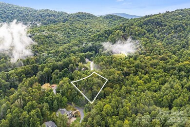 9999 Sovereign Ln unit 20, Fairview, NC 28730 - photo 2