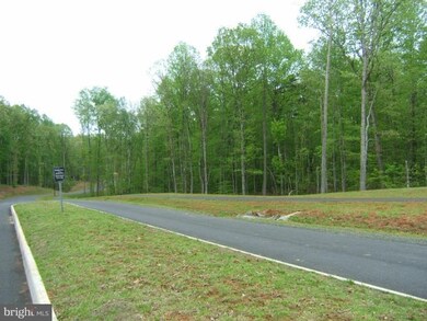 2296 Silver Fox Way, Locust Grove, VA 22508 - photo 4