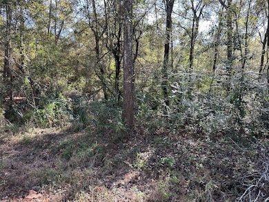 0 County Road 3612 unit 93554051, Navasota, TX 77372 - photo 3