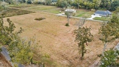 LOT 45-A St Elmo Rd, Darrow, LA 70774 - photo 2