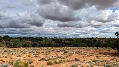 IMG_9873 (1)