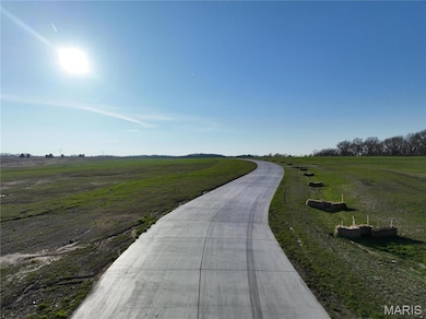 1000 Quail Grove Circle (Lot 22), O'Fallon, MO 63366 - photo 4