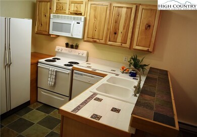 425 Adams Apple Dr unit 4, Banner Elk, NC 28604 - photo 3