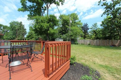 Big Backyard