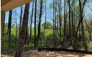 Additional View