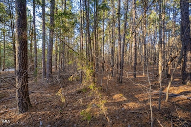 8590 Redding Rd, Oxford, NC 27565 - photo 4