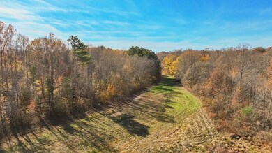 2356 Old Darden Chesterfield Rd, Darden, TN 38328 - photo 7