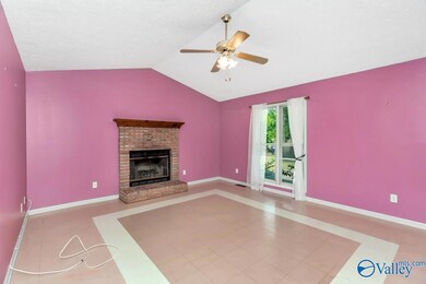 Wood burning fireplace, vaulted ceiling.  A coat of paint, and vinyl plank floors is all you need.