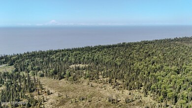 Cohoe Loop Lots-03