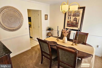 908 Berwick Dr, Annapolis, MD 21403 - photo 7