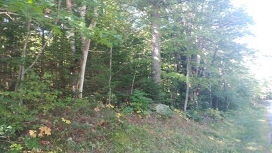 Lot 9 Hopper Rd, Acton, ME 04001 - photo 6