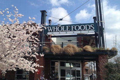 517 Hill Pointe Ln, Chattanooga, TN 37405 - photo 3