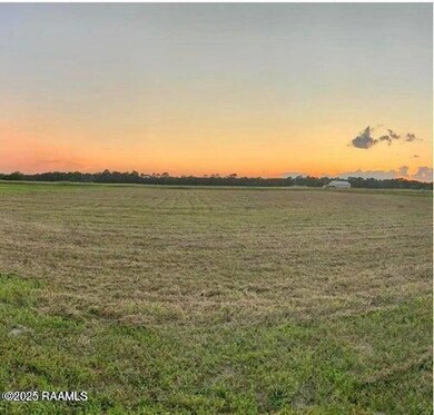 20250115192938908602000000-o