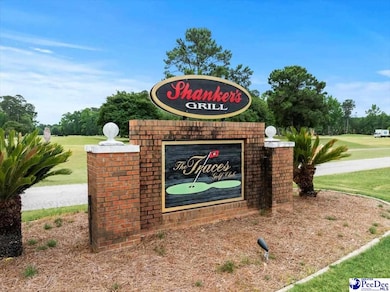 Lot 5 Southborough Rd, Darlington, SC 29532 - photo 4