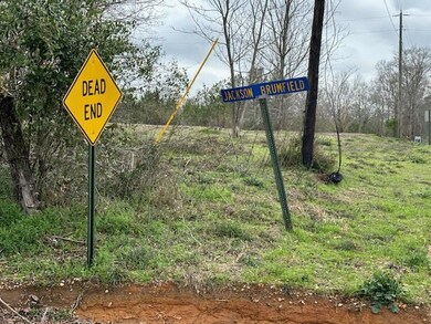 43443 Jackson Brumfield Rd, Franklinton, LA 70438 - photo 4