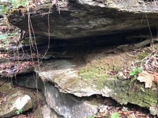 361 Grady Pigg Ln, Cookeville, TN 38501 - photo 5