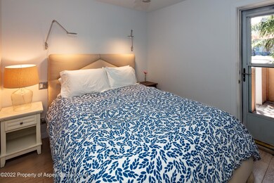 790 W Hallam St unit 3, Aspen, CO 81611 - photo 4