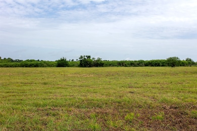 TBD Cr 207a, Plantersville, TX 77363 - photo 2