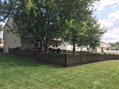 backyard 3