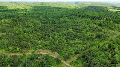 5000 Shady Grove Rd, Shirley, AR 72153 - photo 2