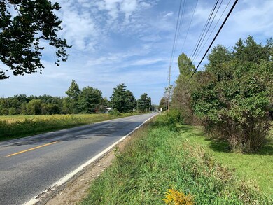 IMG_2369