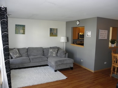 1911 Cherrywood Ct, Joliet, IL 60435 - photo 5