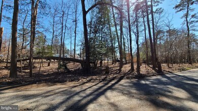 1001 NE Lakeshore Dr, Millville, NJ 08332 - photo 5