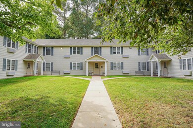800 Travers St unit 5, Cambridge, MD 21613 - photo 4
