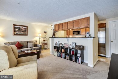 6310 Bayberry Ct unit 1006, Elkridge, MD 21075 - photo 6