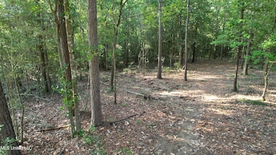 underbrush cleared
